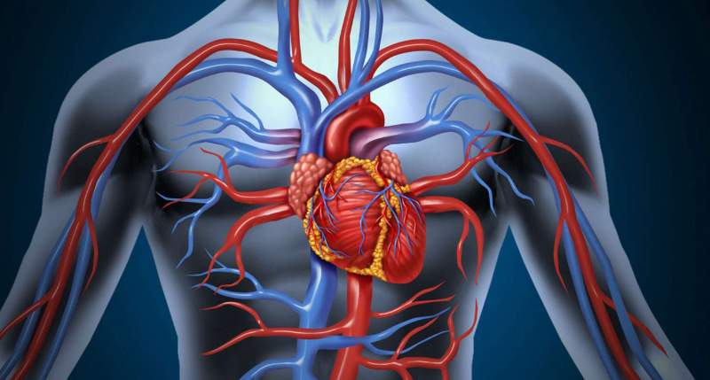 Vai trò của siêu âm trong chẩn đoán hở van tim