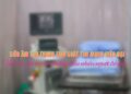 Siêu âm tim trong tầm soát tim mạch hiện đại.